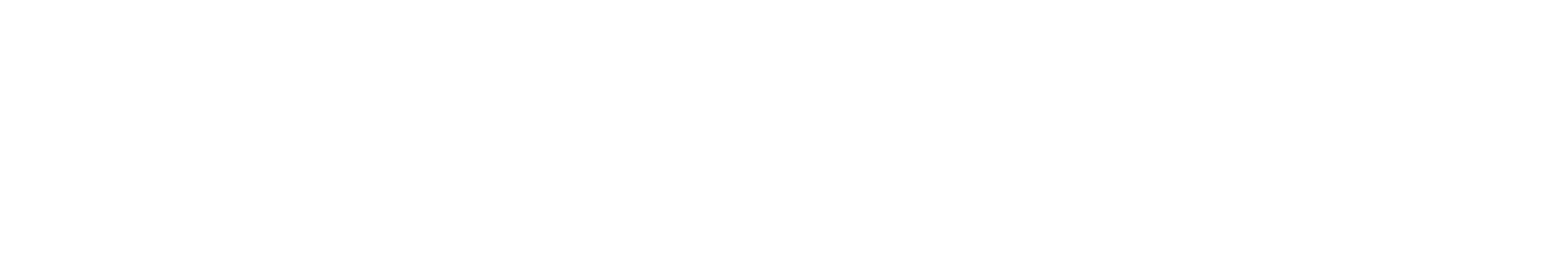 logo ParcExpress